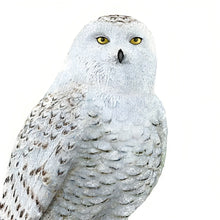 Load image into Gallery viewer, The Hamilton Collection Protector of Amethyst Messengers Of Precuious Virtue Handcrafted and Hand-Painted Featuring Shimmering Glitter and Expertly Carved Amethyst-Inspired Stone Owl Figurine by Nene Thomas 5.25-inches - RCE Global Solutions