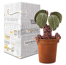Load image into Gallery viewer, The Ashton-Drake Galleries Mandrake Portrait Figure Collector's Edition from Harry Potter™ Handcrafted in Hand-painted Vinyl Poseable Root Arms and Legs Includes Planting Pot 16-inches - RCE Global Solutions