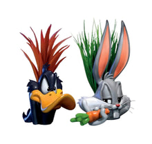 Load image into Gallery viewer, The Bradford Exchange Looney Tunes Succulent Collection: Issue #1 Daffy Duck & Bugs Bunny – Handcrafted Artificial Succulent Pots with Hand-Painted Cartoon Colors – Exclusive Collectible 5.5-Inches - RCE Global Solutions
