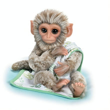 Load image into Gallery viewer, The Ashton-Drake Galleries Pilo Lifelike Baby Borneo Macaque Monkey Doll with Blanket So Truly Real RealTouch Vinyl Hand-Painted Features Mohair and Faux Fur Poseable Arms Legs and Tail 12-inches