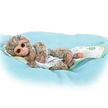 Load image into Gallery viewer, The Ashton-Drake Galleries Pilo Lifelike Baby Borneo Macaque Monkey Doll with Blanket So Truly Real RealTouch Vinyl Hand-Painted Features Mohair and Faux Fur Poseable Arms Legs and Tail 12-inches