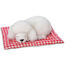 Load image into Gallery viewer, The Ashton-Drake Galleries My New Best Friend Hold That Pose! Child Doll And Plush Puppy Set by Ping Lau 24-inches - RCE Global Solutions