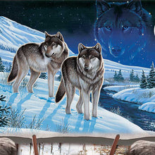 Load image into Gallery viewer, The Bradford Exchange Arctic Visions from Sentinels of the Sky Illuminating Wall Plaque Collection Dreamcatcher with Wolf Art by Cynthie Fisher 10-inches - RCE Global Solutions