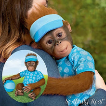 Load image into Gallery viewer, The Ashton - Drake Galleries Abe Hugs So Truly Real® Lifelike Baby Boy Monkey Doll Realistic Weighted Fully Poseable with Plush Ball Hand Applied Hair and Soft RealTouch® Vinyl Skin 22"-Inches - RCE Global Solutions