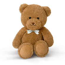 Load image into Gallery viewer, The Ashton-Drake Galleries Madison And Teddy, Hold That Pose by Mayra Garza 22-inches - RCE Global Solutions