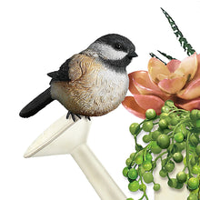 Load image into Gallery viewer, The Bradford Exchange "Garden Delights" Always In Bloom Succulent Planters with Sculpted Songbirds Table Centerpiece 6-inches - RCE Global Solutions