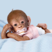 Load image into Gallery viewer, The Ashton - Drake Galleries Coco Lifelike So Truly Real® Baby Girl Monkey Doll Fully Poseable with Soft RealTouch® Vinyl Skin and Hand Applied Hair by Award-Winning Doll Artist Linda Murray 16"-Inches - RCE Global Solutions