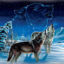 Load image into Gallery viewer, The Bradford Exchange Cynthie Fisher Wolf Art Dreamcatcher Wall Plaque Lights Up and Glows in The Dark - RCE Global Solutions