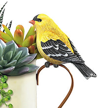 Load image into Gallery viewer, The Bradford Exchange "Garden Delights" Always In Bloom Succulent Planters with Sculpted Songbirds Table Centerpiece 6-inches - RCE Global Solutions