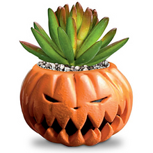 Load image into Gallery viewer, Bradford The Nightmare Before Christmas Succulents Collection Pumpkin King&Jack - RCE Global Solutions