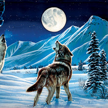 Load image into Gallery viewer, The Bradford Exchange Cynthie Fisher Wolf Art Dreamcatcher Wall Plaque Lights Up and Glows in The Dark - RCE Global Solutions