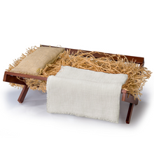 Load image into Gallery viewer, The Ashton - Drake Galleries Jesus Our Savior With Realistic Manger And Natural Fabrics So Truly Real® Lifelike & RealTouch® Vinyl Skin Hand-Rooted Hair Weighted Doll by Linda Murray 17-inches - RCE Global Solutions
