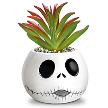 Load image into Gallery viewer, Bradford The Nightmare Before Christmas Succulents Collection Pumpkin King&Jack - RCE Global Solutions