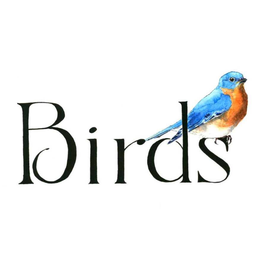 Birds
