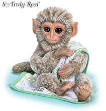 Load image into Gallery viewer, The Ashton-Drake Galleries Pilo Lifelike Baby Borneo Macaque Monkey Doll with Blanket So Truly Real RealTouch Vinyl Hand-Painted Features Mohair and Faux Fur Poseable Arms Legs and Tail 12-inches

