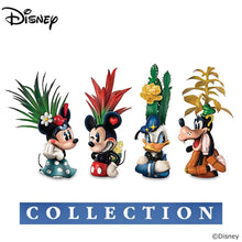 Load image into Gallery viewer, The Bradford Exchange Mickey Mouse and Minnie Mouse from Disney Mickey and Friends Succulent Sculpture Collection Issue #1 Set of 2 Handcrafted Hand-painted Artificial Succulents 4-inches - RCE Global Solutions
