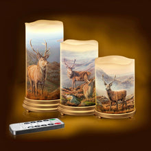 Load image into Gallery viewer, The Bradford Exchange ‘Let Your Spirit Be Free’ Stag Flameless Candle Set Wildlife Art Candle Trio by Martin Ridley with Remote &amp; Bronze-Tone Stands 11-inches
