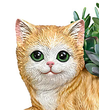 Load image into Gallery viewer, The Bradford Exchange Paw Prints Plant Everlasting Love Table Centerpiece Cat Planter With Always In Bloom Succulents 6.5-inches - RCE Global Solutions
