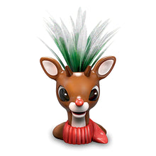 Load image into Gallery viewer, The Bradford Exchange Rudolph and Bumble Charming Character Pots Filled with Holiday Cheer Handcrafted and Hand-Painted Artificial Succulent Sculptures Rudolph the Red-Nosed Reindeer Succulent Collection Issue #1 Christmas decoration 5.75-inches - RCE Global Solutions
