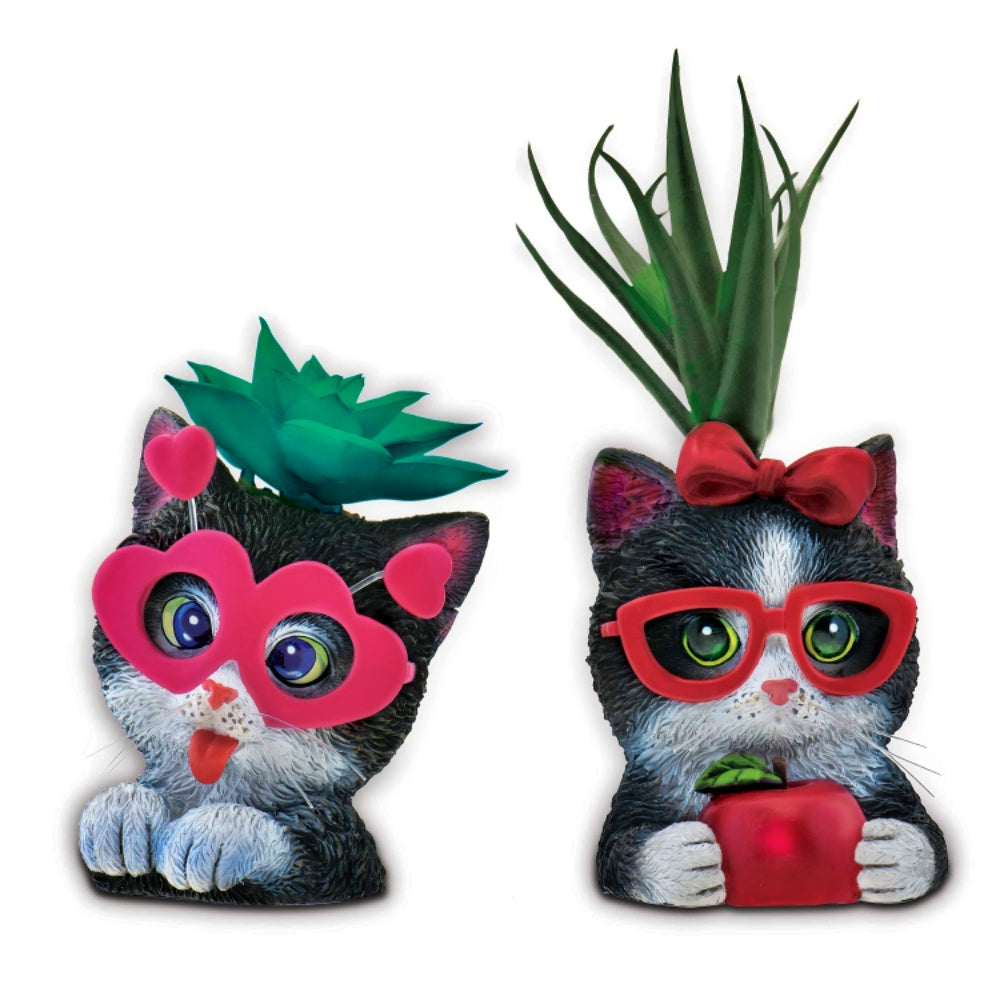 The Bradford Exchange Mini And Ruby Purr-fect Planters Sculpture Collection Issue #7 Purr fectly AdorableThe Cat tastic Succulent Hand Painted & Realistic Sculpture by Kayomi Harai 2.5