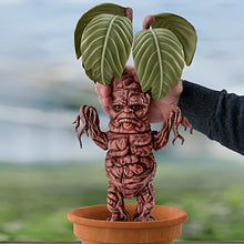 Load image into Gallery viewer, The Ashton-Drake Galleries Mandrake Portrait Figure Collector&#39;s Edition from Harry Potter™ Handcrafted in Hand-painted Vinyl Poseable Root Arms and Legs Includes Planting Pot 16-inches - RCE Global Solutions
