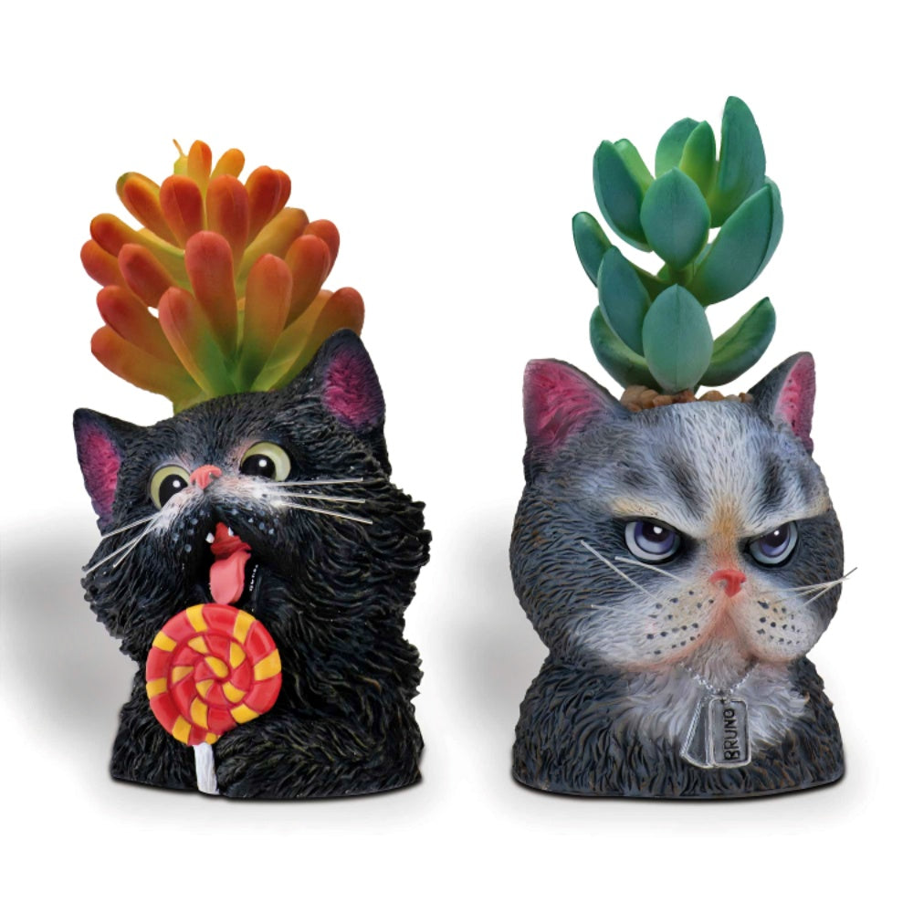 The Bradford Exchange Salem And Bruno Purr-fect Planters Sculpture Collection Issue #8 Purr fectly AdorableThe Cat tastic Succulent Hand Painted & Realistic Sculpture by Kayomi Harai 2.5