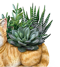 Load image into Gallery viewer, The Bradford Exchange Paw Prints Plant Everlasting Love Table Centerpiece Cat Planter With Always In Bloom Succulents 6.5-inches - RCE Global Solutions
