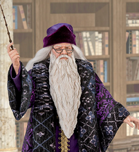 Load image into Gallery viewer, The Asthon-Drake Galleries Professor Dumbledore Poseable Portrait Figure Includes Wand and Fawkes 14-inches - RCE Global Solutions
