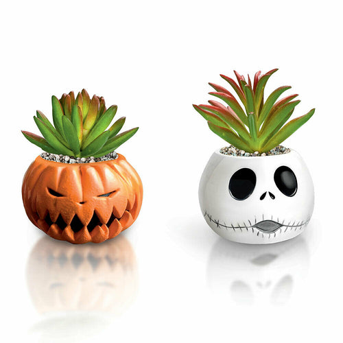 Bradford The Nightmare Before Christmas Succulents Collection Pumpkin King&Jack - RCE Global Solutions