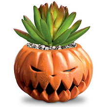 Load image into Gallery viewer, Bradford The Nightmare Before Christmas Succulents Collection Pumpkin King&amp;Jack - RCE Global Solutions
