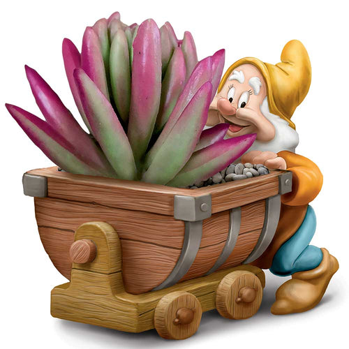 Disney Snow White And The Seven Dwarfs Succulents Planter Sculpture - HAPPY - RCE Global Solutions