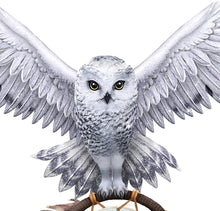 Load image into Gallery viewer, The Hamilton Collection Jody Bergsma May All Your Dreams Come True Hand-Painted Owl and Dreamcatcher Figurine - RCE Global Solutions
