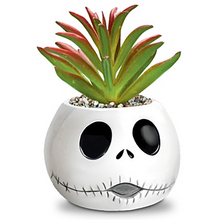 Load image into Gallery viewer, Bradford The Nightmare Before Christmas Succulents Collection Pumpkin King&amp;Jack - RCE Global Solutions
